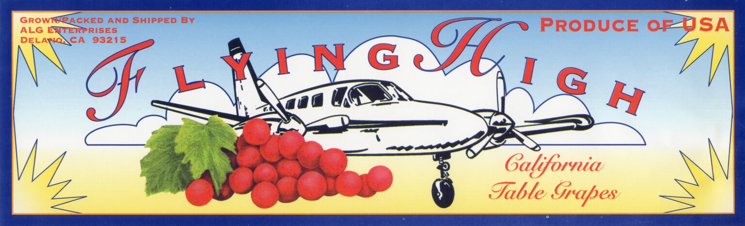 Flying High Flying High